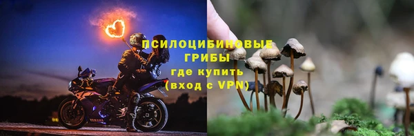 a pvp Алзамай